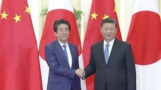 Xi Jinping: China-Japan ties face important development opportunities