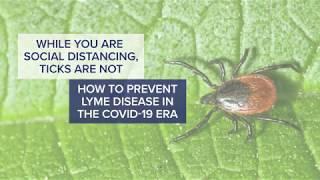 While You are Social Distancing, Ticks Are Not - Tips on Protecting Yourself from Lyme Disease