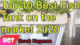 Top 10 Best Fish Tank on the market 2020 - Must see