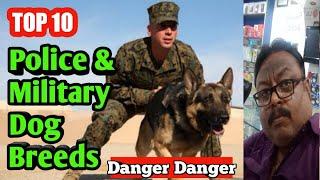 Top 10 Police & Military Dogs | Police & Military Dog Squad