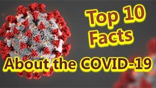 Top 10 Facts You Need to Know About COVID-19