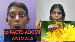 Top 10 facts about animals|animals information