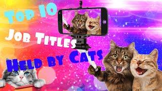 Top 10 Job Titles Held by Cats