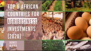 6 Best Agriculture countries in Africa, Best Business Ideas in Africa (2020)