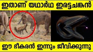 ജന്തുലോകത്തെ ഞെട്ടിക്കുന്ന സത്യങ്ങള്‍ ! Top 10 Facts about Animal World