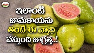 జామపండు ఆరోగ్య రహస్యాలు | Guava Fruits Health Benefits | The Top 10 Health Benefits of Guava.