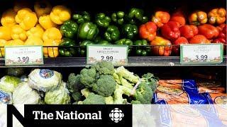 Climate change driving up food prices in 2020