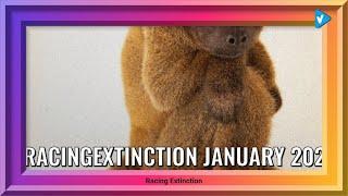 Top 10 #racingextinction Posts Starring: racingextinction
