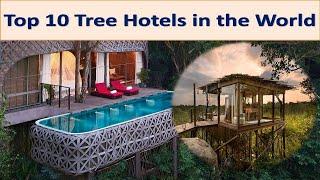 Top 10 Best Tree Hotels in the World