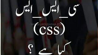 What is CSS | Information about CSS | Competitive Exam (Top Topic Tubes)