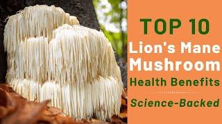 Top 10 Lions Mane Mushroom Health Benefits | Science-Backed