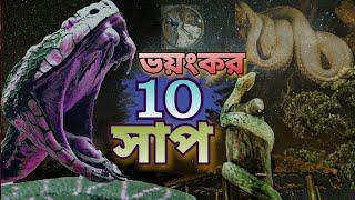 বিষাক্ত ভয়ংকর যে ১০ টি সাপ দেখলে স্থির থাকতে পারবেন না।।10 most venomous snakes ।। রহস্য সন্ধান।।