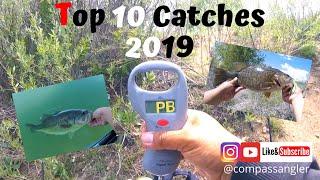 Top 10 Colorado Catches of 2019