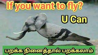 If you want to fly? U can | Try this method | SmartWork |