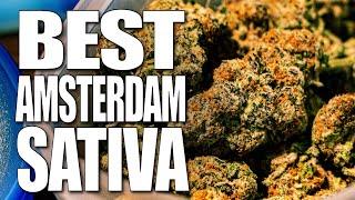 Top 5 Sativa Weed of Amsterdam | Amsterdam Coffeeshop Visits 2020