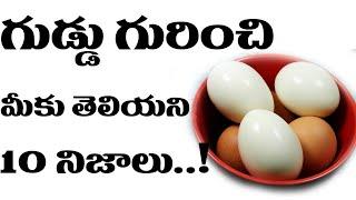 గుడ్డు గురించి మీకు తెలియని 10 నిజాలు..! | Top 10 Health Benefits of Eating Eggs