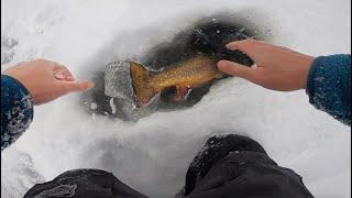 Incredible Ice Fishing Battle With MEGA BROOK TROUT! (Trout Personal Best)