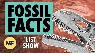 26 Facts About Fossils