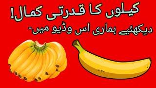 Top 10 Banana Health Benefits | Banana Benefits and Side Effects || entertainment factory