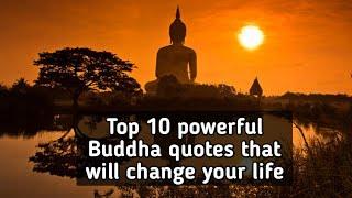 Top 10 powerful Buddha quotes that will change your life | Buddha quotes | Quoteflix