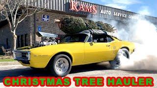 Hauling Mom's Christmas Tree with My Pro Street '67 Firebird: Finnegan's Garage Ep.122