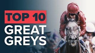 TOP 10 GREATEST GREY RACEHORSES: SILVER CHARM & ROARING LION