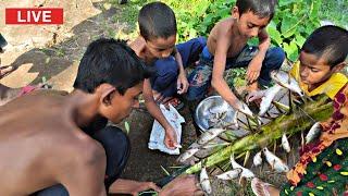 অবিশ্বাস্য খেজুর কাটা দিয়ে মাছ ধরার দারুন কৌশল - Amazing Fishing Technique 2020