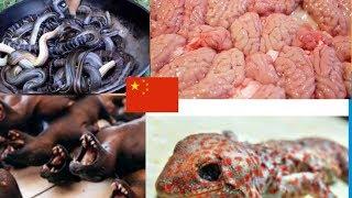 TOP 10 Weird And Unusual  Foods Eaten Only in China That Caused Coronavirus Pandemic Worldwide