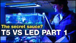 T5 vs LED: T5’s secret spectrum sauce? Do LED’s have a chance on our reef tanks?