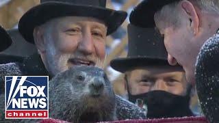 Punxsutawney Phil sees his shadow, predicts 6 more weeks of winter