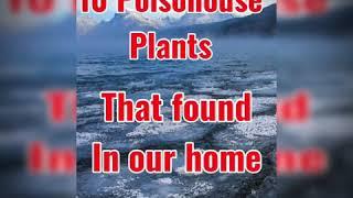 Top 10 poisonous plants in our home.