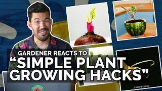 Gardener Reacts to "Simple Plant Growing Hacks"