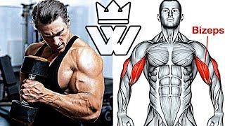 MASSIVE ARM WORKOUT | TOP-10 Exercises