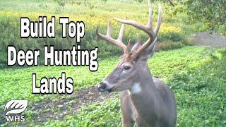 10 Ways To Create Top Buck Hunting Parcels