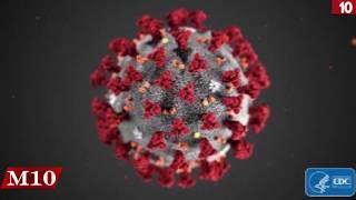 Coronavirus - Top 10 things you need to know.