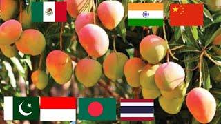 Top 10 Mango Producing Countries In The World