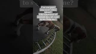 WATCH TIL the END 