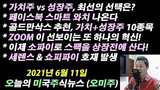 (오미주 2021.06.11) 골드만삭스 추천, 가치와 성장을 모두 갖춘 TOP10 / 성장주, 가치주 최선의 선택은? / 이제 소파이를 통해 스팩을 상장전에 #아마존주식전망
