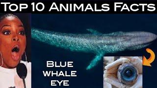 Top 10 animal facts 