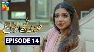 Mohabbat Tujhe Alvida Episode 14 HUM TV Drama 16 September 2020