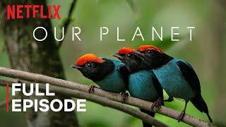 Our Planet | Planet Diversity | FULL EPISODE | Netflix