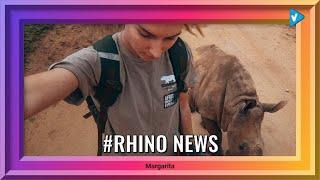 Top 10 #rhino Posts & Updates, Starring: s_marga