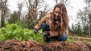 This Keeps Vegetables Fresh All Winter | Raising a Year's Worth of Food | No Heat or Row Covers