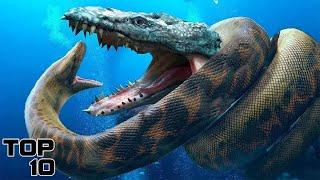 Top 10 Extinct Animals From The Dark Ages Scientists Want To Bring Back To Life