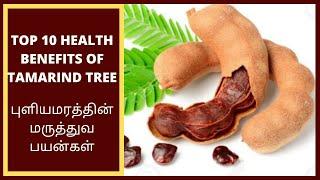 Tamarind Tree( புளியமரம்): புளியமரத்தின் மருத்துவ பயன்கள் - Top 10 Health Benefits of Tamarind Tree