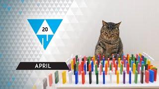 WIN Compilation APRIL 2020 Edition | Best of March