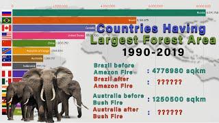 Countries Having Largest Forest Area (1990-2019) | Top 15 Countires Having Largest Forest Area