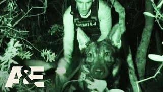 Live PD: Most Viewed K9 Busts | A&E