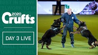 Day 3 Live | Crufts 2020