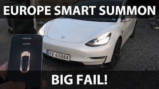 Model 3 Smart Summon in Norway